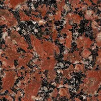 Granite Leopard rose