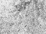 Granite TIGER WHITE 2