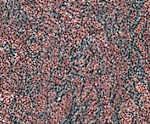 Granite ROSE DALVA 2