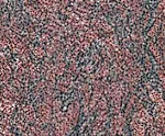 Granite ROSE DALVA 2