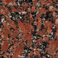 Granite Leopard rose